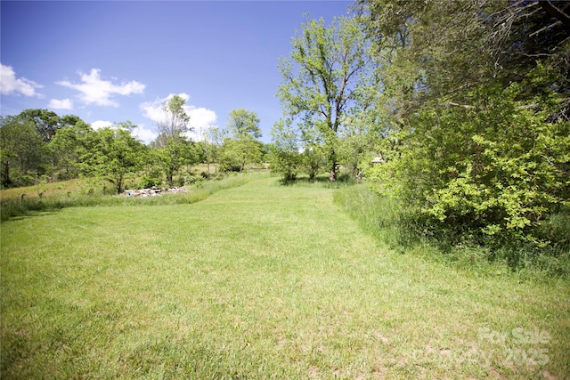 49 Loggy Hollow Rd, Bakersville, NC 28705