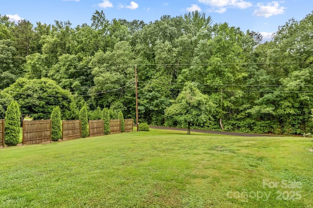 44092 Woodhurst Rd, New London, NC 28127 - photo 42