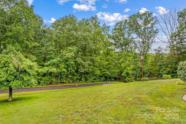 44092 Woodhurst Rd, New London, NC 28127 - photo 43