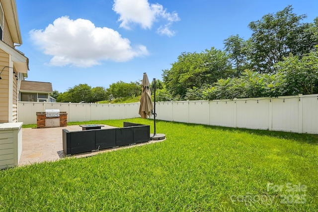 2233 Sonoma Valley Dr, Charlotte, NC 28214 - fenced backyard with an outdoor kitchen, a patio area, and an outdoor living space