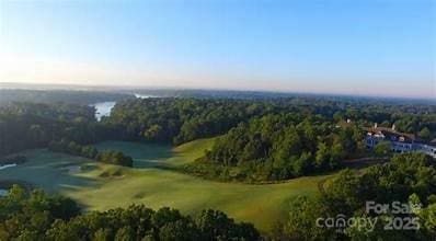 4043 Windward Dr, Tega Cay, SC 29708 - aerial view of a forest and a golf course