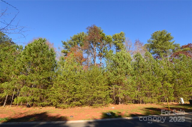 3228 Ashwood Park Dr Unit 294, Belmont, NC 28012 - photo 6