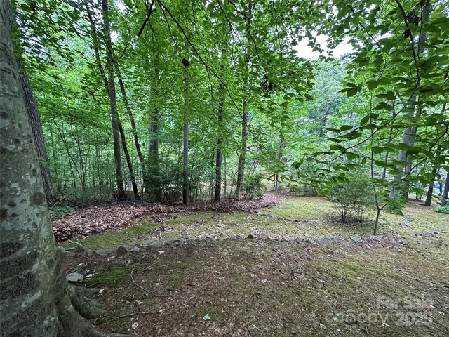 0000 Woodhill Cove Ln Unit 5, Denver, NC 28037 - view of yard with a forest view