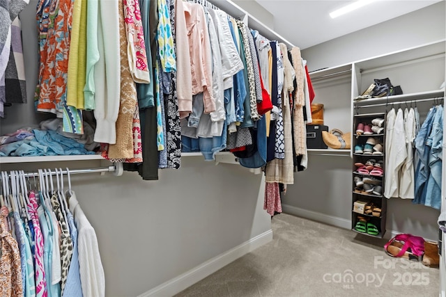 1712 Askern Ct, Waxhaw, NC 28173 - walk in closet with carpet floors