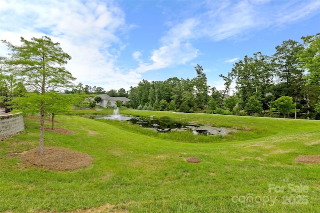 1712 Askern Ct, Waxhaw, NC 28173 - view of grassy yard with a water view