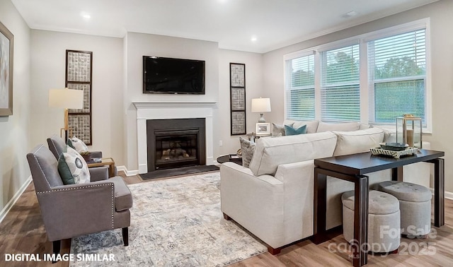 9957 Cask Way, Huntersville, NC 28078 - living area with wood finished floors, baseboards, a glass covered fireplace, and recessed lighting