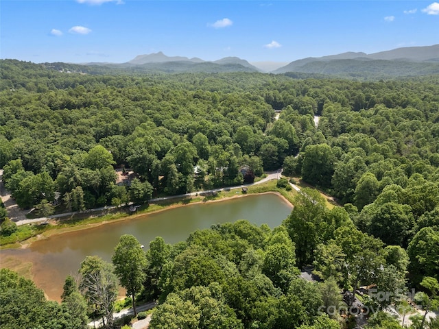 74 S Alta Vista Dr, Saluda, NC 28773 - photo 24