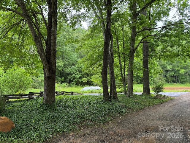 view of yard with a view of trees