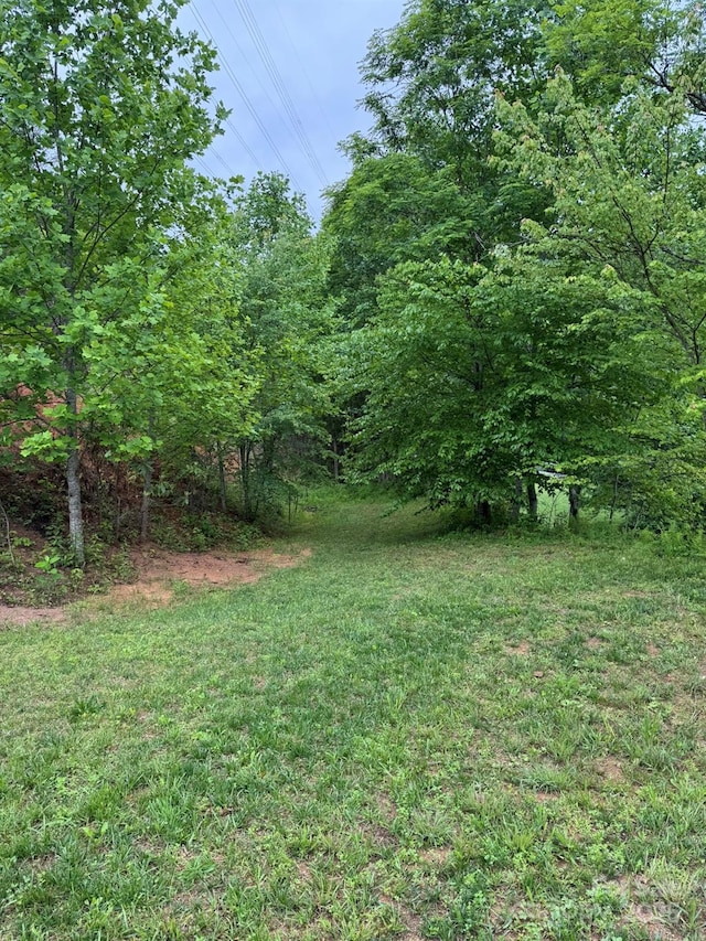 view of green lawn