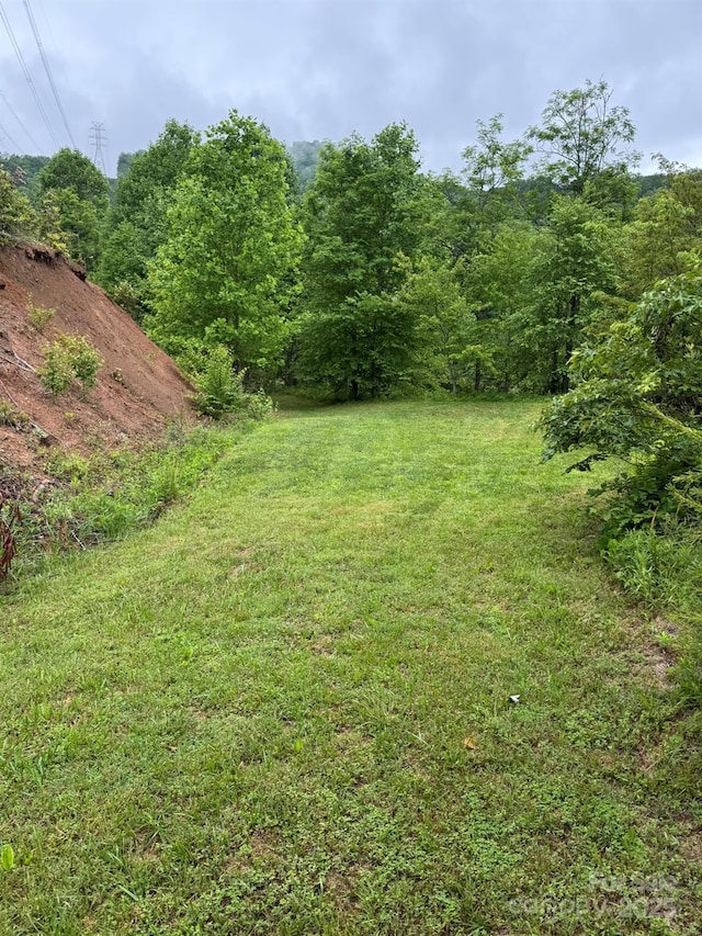 view of green lawn