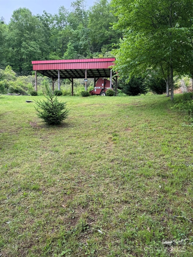 view of grassy yard