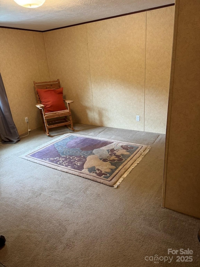 unfurnished bedroom with carpet floors, a decorative wall, and a textured ceiling