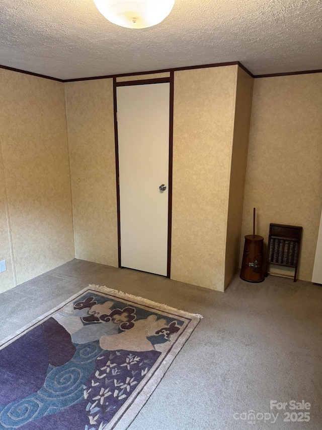 carpeted spare room with a textured ceiling, a textured wall, and ornamental molding