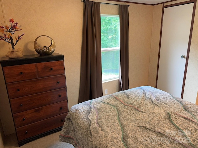 bedroom featuring multiple windows