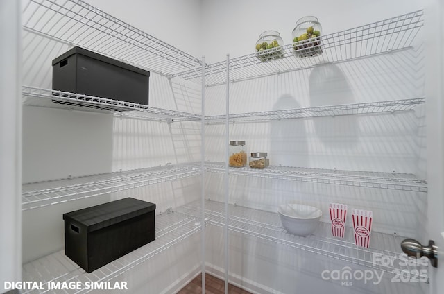9842 Quercus Ln, Huntersville, NC 28078 - view of pantry