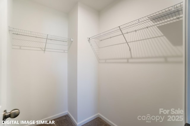 9842 Quercus Ln, Huntersville, NC 28078 - spacious closet featuring carpet floors