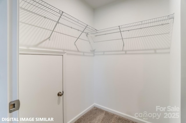 9842 Quercus Ln, Huntersville, NC 28078 - walk in closet featuring carpet