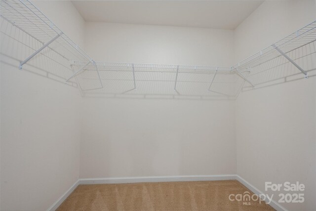 7209 Cuddington Dr, Charlotte, NC 28215 - photo 19