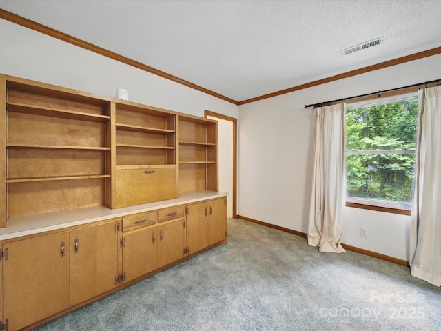 220 Lakeview Dr, Belmont, NC 28012 - spare room featuring light carpet, baseboards, crown molding, and a textured ceiling