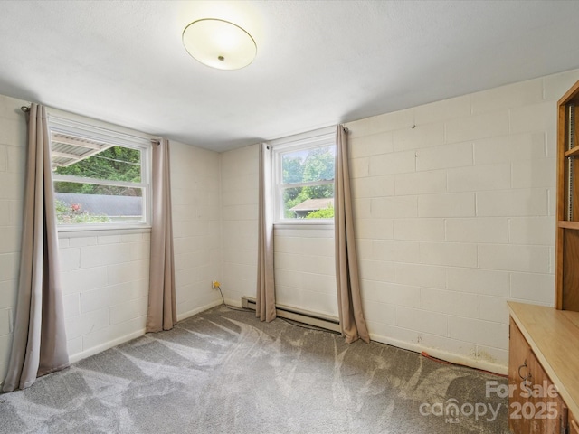 220 Lakeview Dr, Belmont, NC 28012 - spare room featuring a baseboard heating unit, carpet flooring, and concrete block wall