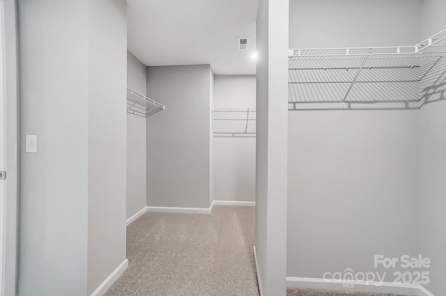 9934 Cask Way, Huntersville, NC 28078 - walk in closet featuring carpet floors
