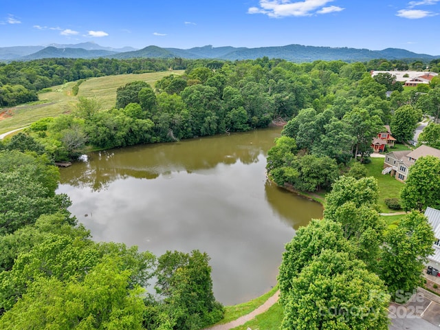 301 Rockbridge Rd Unit 22, Mills River, NC 28759 - drone / aerial view of a water and mountain view
