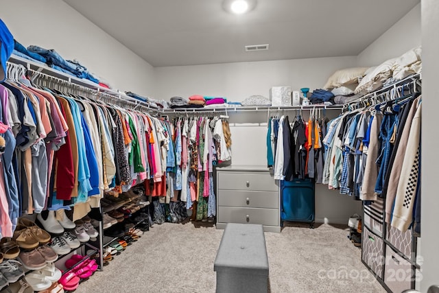 7172 Teague Dr, Gastonia, NC 28056 - spacious closet featuring carpet