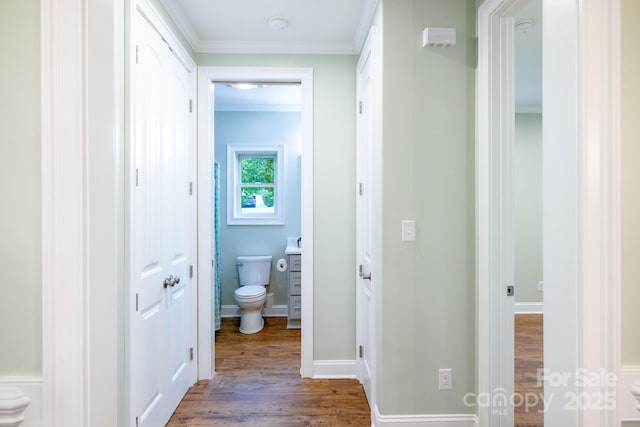 219 Grayson St, Sparta, NC 28675 - corridor featuring wood finished floors, crown molding, and baseboards
