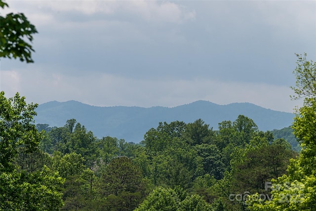 91 Greenwells Glory Dr, Biltmore Lake, NC 28715 - photo 34