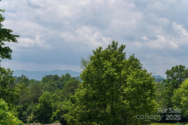 91 Greenwells Glory Dr, Biltmore Lake, NC 28715 - photo 37