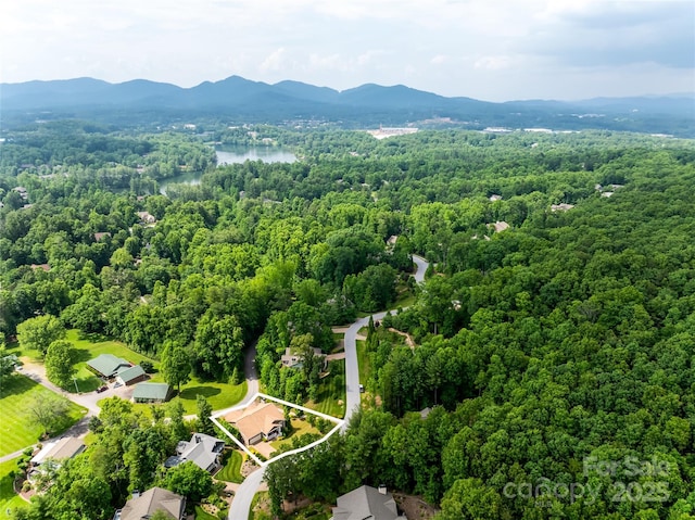 91 Greenwells Glory Dr, Biltmore Lake, NC 28715 - photo 40