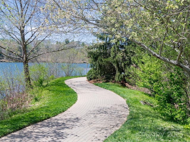91 Greenwells Glory Dr, Biltmore Lake, NC 28715 - photo 47