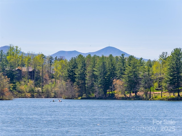 91 Greenwells Glory Dr, Biltmore Lake, NC 28715 - photo 48