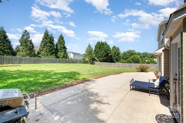 9814 Tompkins Ln, Waxhaw, NC 28173 - fenced backyard with a patio