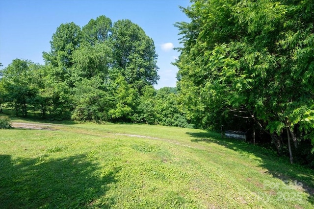 825 Pole Miller Ext, Brevard, NC 28712 - view of green lawn featuring a view of trees