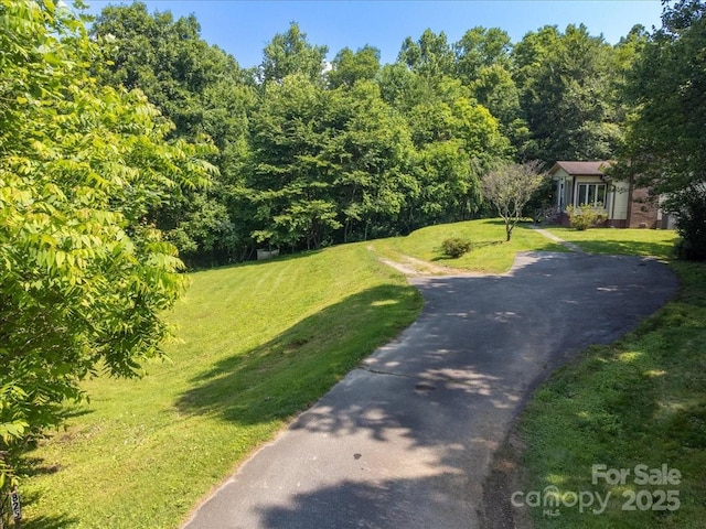 825 Pole Miller Ext, Brevard, NC 28712 - view of dirt / gravel driveway
