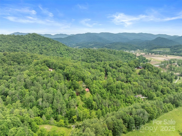 218 Hamlet Dr, Burnsville, NC 28714 - photo 48
