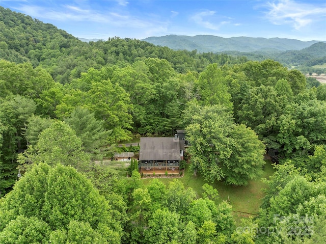 218 Hamlet Dr, Burnsville, NC 28714 - photo 46