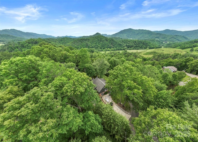 218 Hamlet Dr, Burnsville, NC 28714 - photo 47