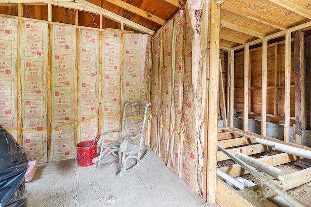 355 Dix Creek Rd, Leicester, NC 28748 - view of storage room