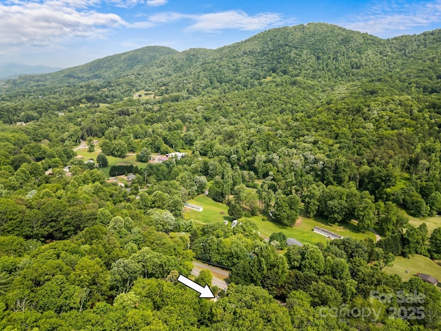 355 Dix Creek Rd, Leicester, NC 28748 - bird's eye view of a heavily wooded area and a mountain backdrop