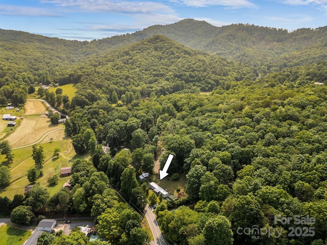 355 Dix Creek Rd, Leicester, NC 28748 - drone / aerial view of a heavily wooded area and a mountainous background