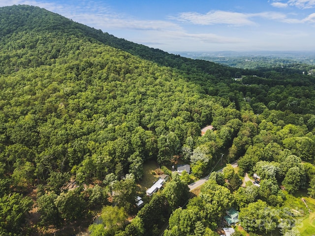 355 Dix Creek Rd, Leicester, NC 28748 - aerial overview of property's location with a forest