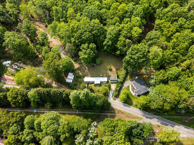 355 Dix Creek Rd, Leicester, NC 28748 - view of property location