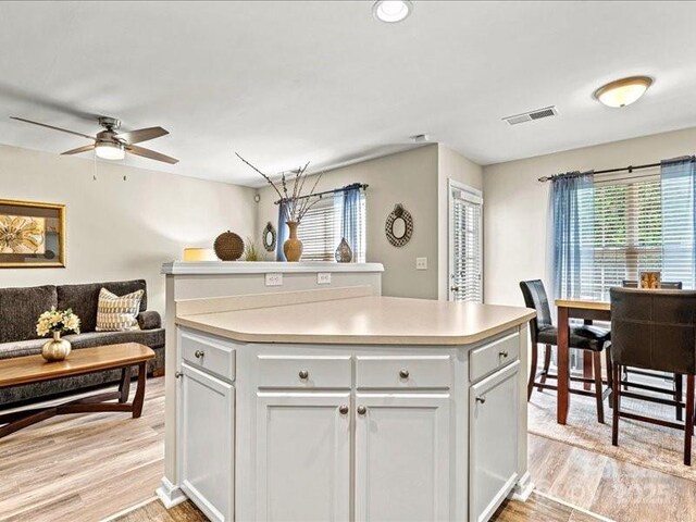 10063 Reindeer Way Ln, Charlotte, NC 28216 - photo 5