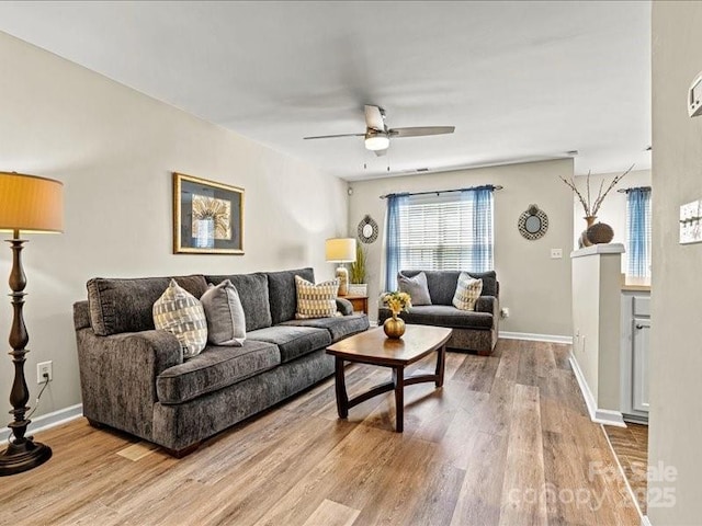 10063 Reindeer Way Ln, Charlotte, NC 28216 - photo 12