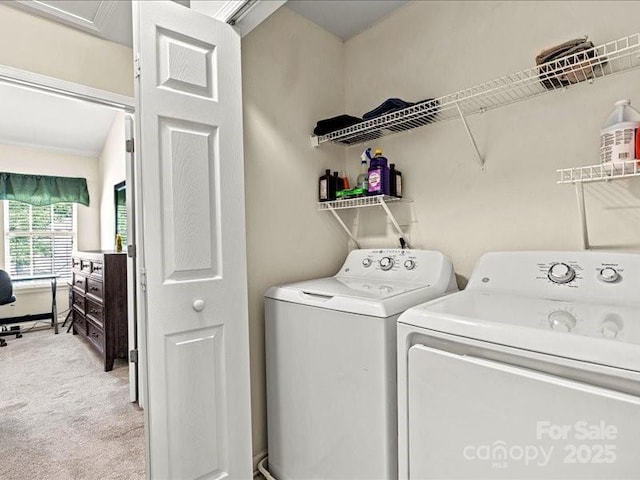 10063 Reindeer Way Ln, Charlotte, NC 28216 - photo 23