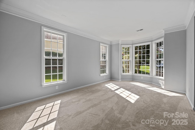 1012 Bancroft Ct, Fort Mill, SC 29707 - photo 10