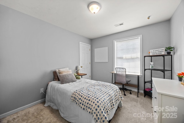 1012 Bancroft Ct, Fort Mill, SC 29707 - photo 29