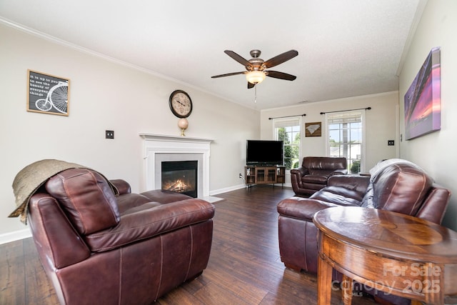 600 Capella Ct, Gastonia, NC 28056 - living area featuring ceiling fan, dark wood-type flooring, a fireplace with flush hearth, and ornamental molding